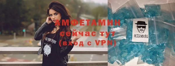 гидра Белокуриха