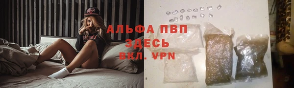 эйфоретик Беломорск