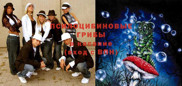 гидра Белокуриха