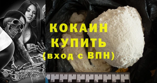 дмт Богданович