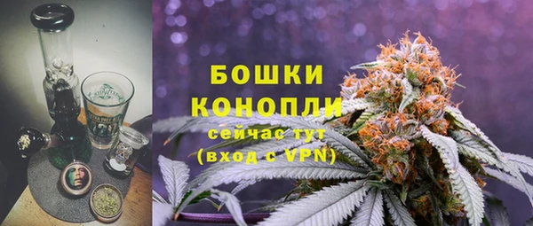 дмт Богданович