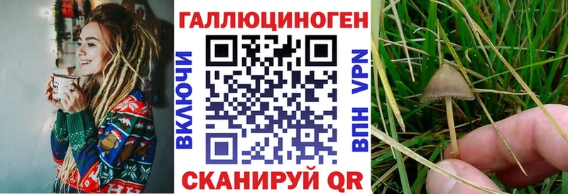 дарнет шоп  Воркута  Псилоцибиновые грибы ЛСД 