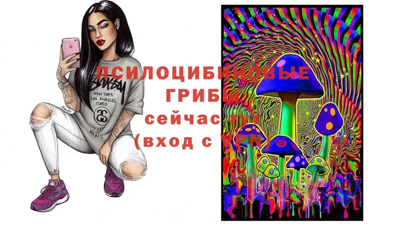 shop как зайти  Воркута  Псилоцибиновые грибы Magic Shrooms 