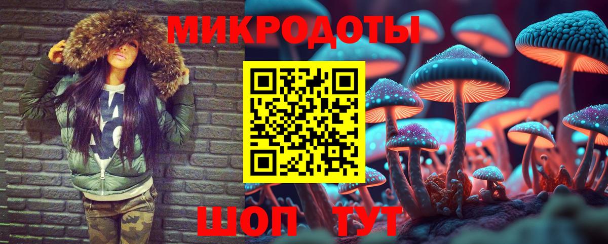 Галлюциногенные грибы Psilocybe Воркута