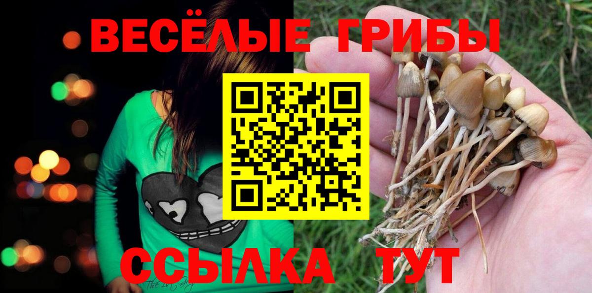 Галлюциногенные грибы Cubensis  Воркута  Псилоцибиновые грибы ЛСД 