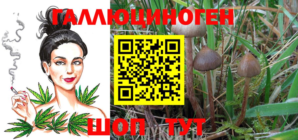 Воркута  Галлюциногенные грибы Psilocybine cubensis  Вход с VPN 