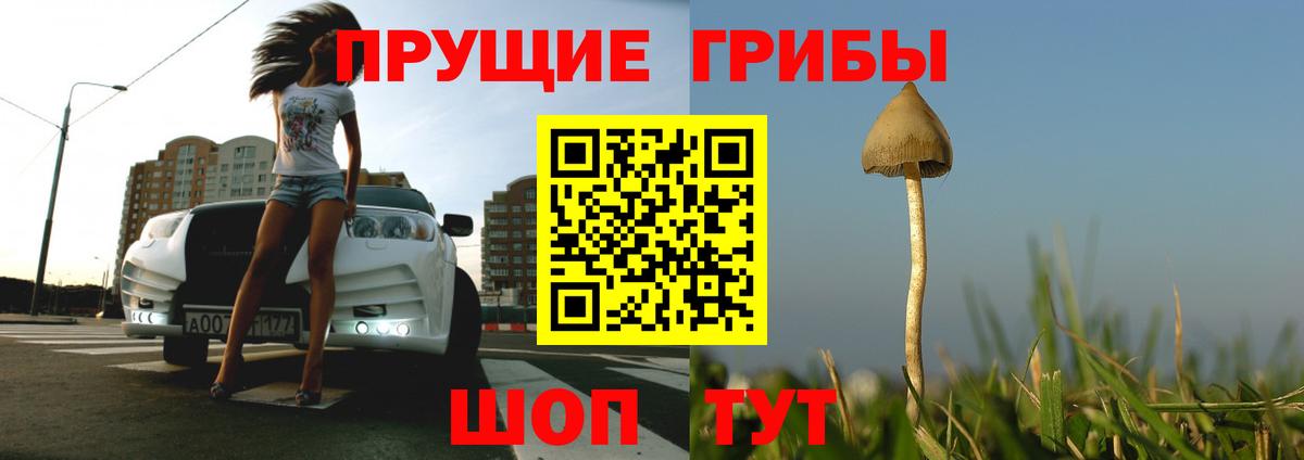 Псилоцибиновые грибы мухоморы Воркута