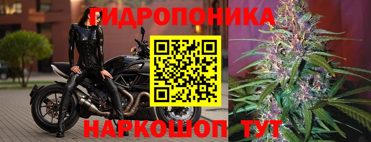 Марихуана марихуана Воркута
